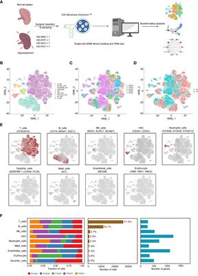 Single-cell RNA Sequencing Analysis Reveals New Immune Disorder Complexities in Hypersplenism